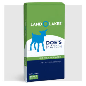 Land O Lake's Doe's Match Large