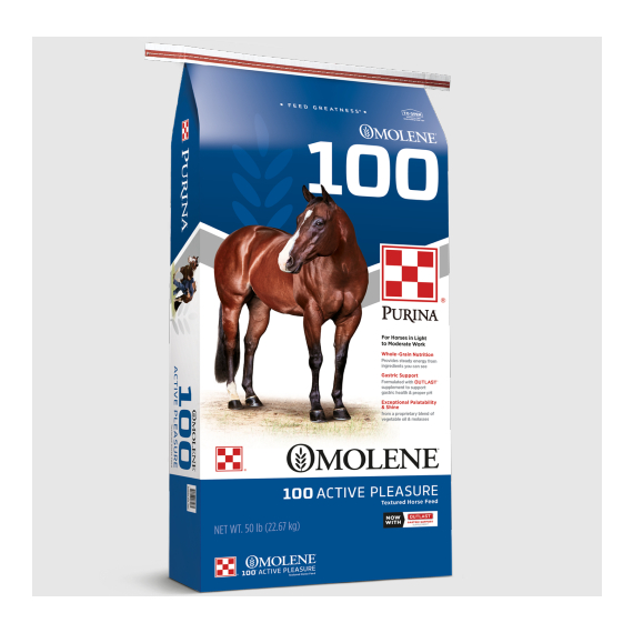 Omolene 100 Pleasure Horse