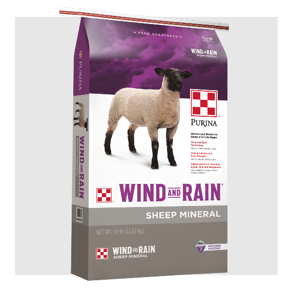 Wind & Rain Sheep Mineral