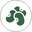 Beans Green Logo