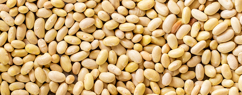 The Many Health Benefits of Beans
