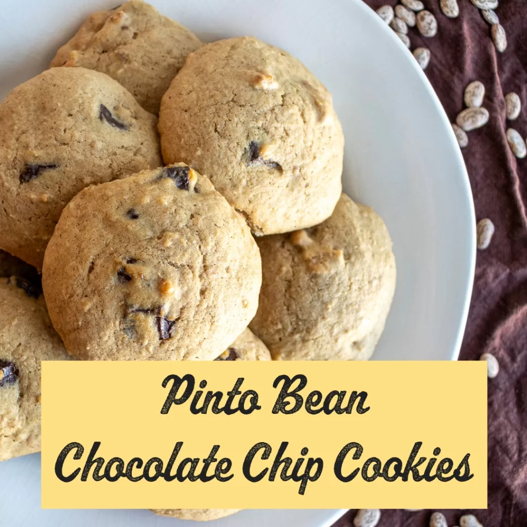 Pinto Bean Chocolate Chip Cookies