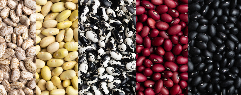 Unveiling the Nutritional Superpowers of Beans and Chickpeas: A Comprehensive Analysis