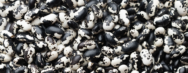 Exploring Orca Beans: A Dive into Their History, Flavor, and Cost Savings