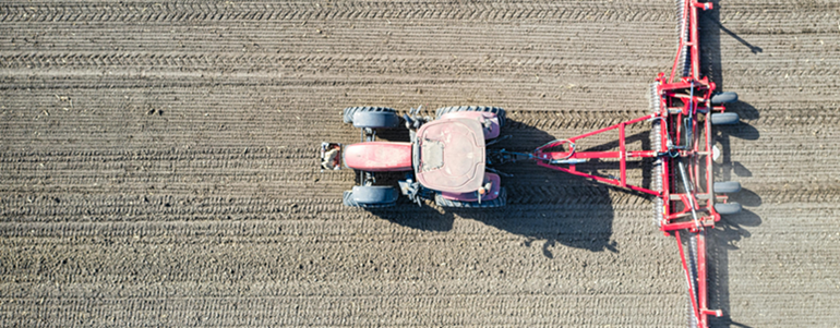 A History of Dry Beans in American Agriculture