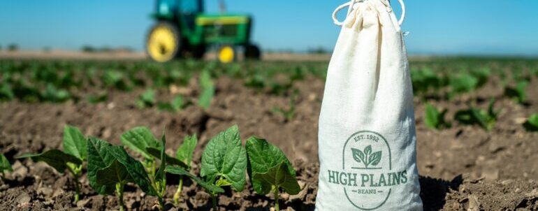 The Environmental Impact of Bean Cultivation in the High Plains