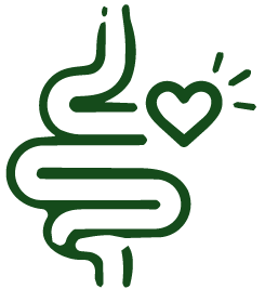 HP-_Gut Health