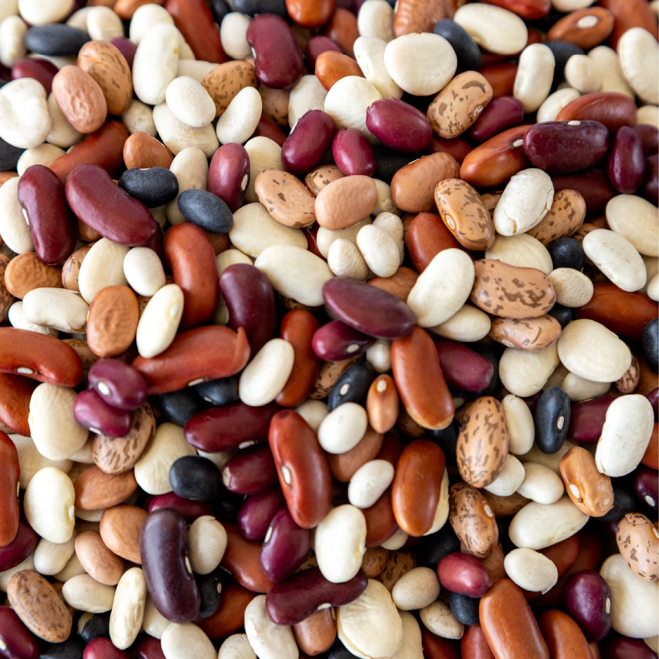 9 Bean Soup Mix, 10lb - Image 3