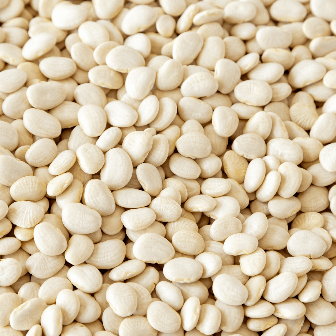Baby Lima Beans, 10lb - Image 4