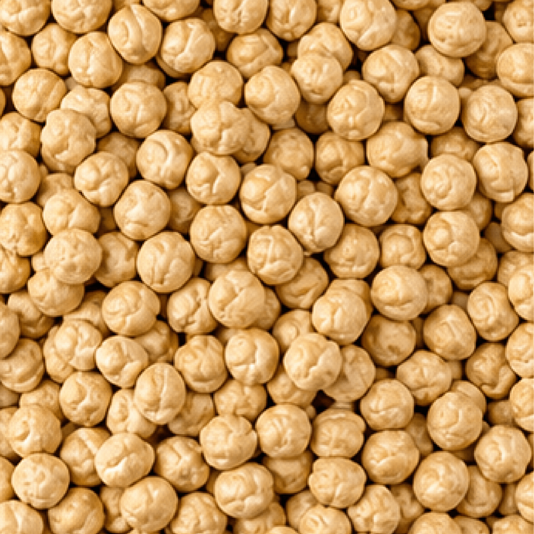 Chickpeas Garbanzo Bean - Image 3