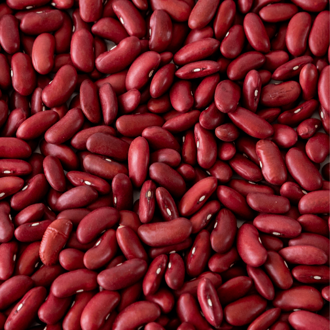Dark Red Kidney Beans, 10 lb - Image 3