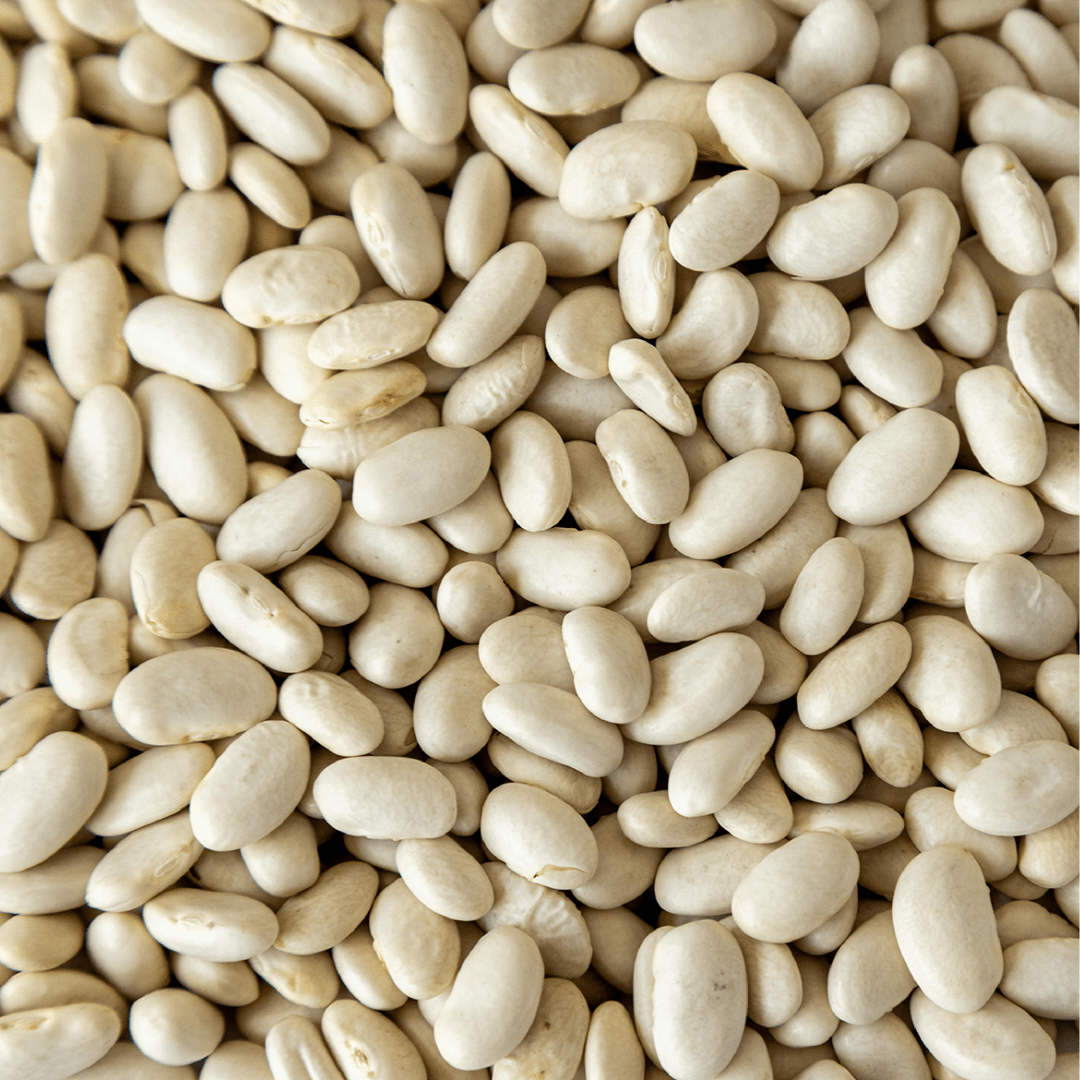 Great Northern Bean, 10 lb Bag - Image 3