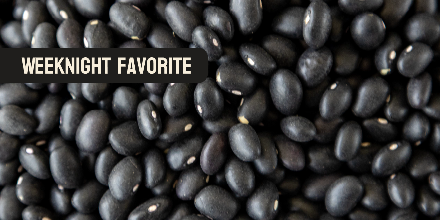 HP__Black Bean w tag