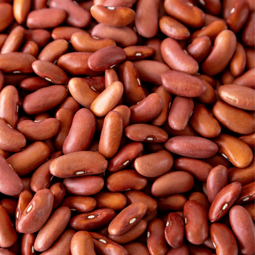 Light Red Kidney Beans, 10 lb Bag - Image 3