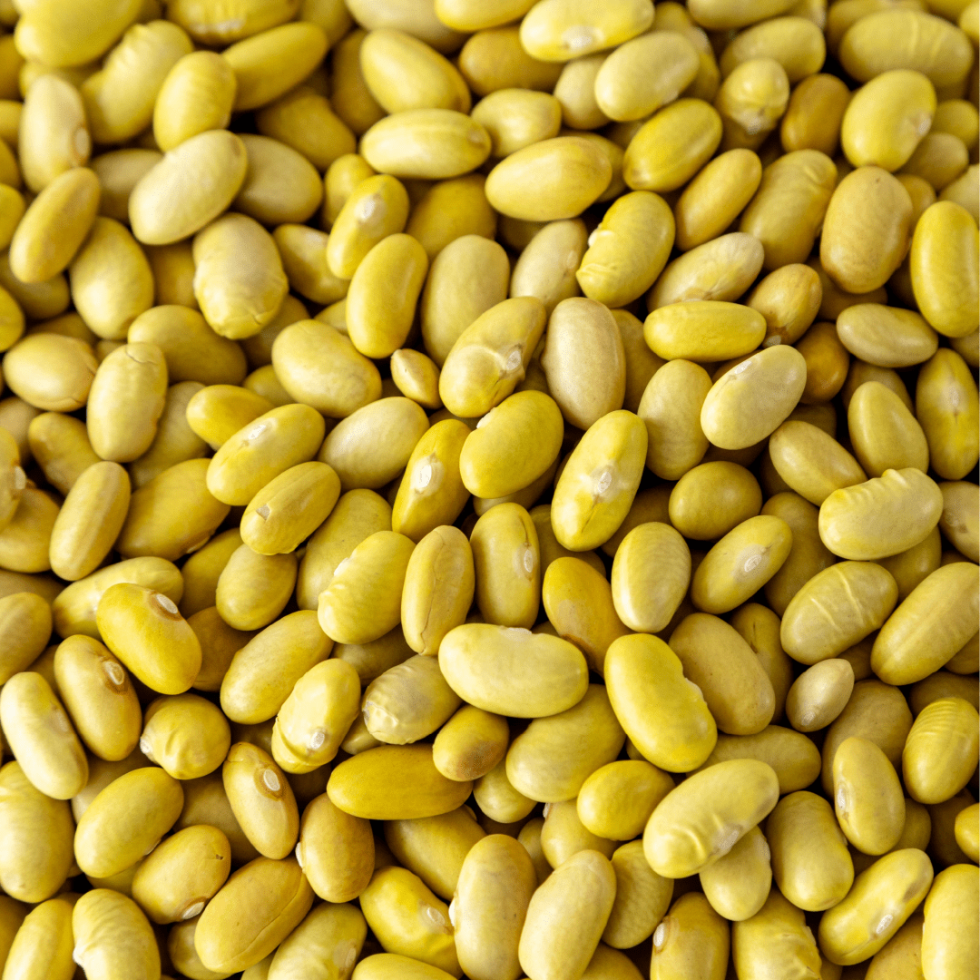 Mayocoba Beans - Image 3