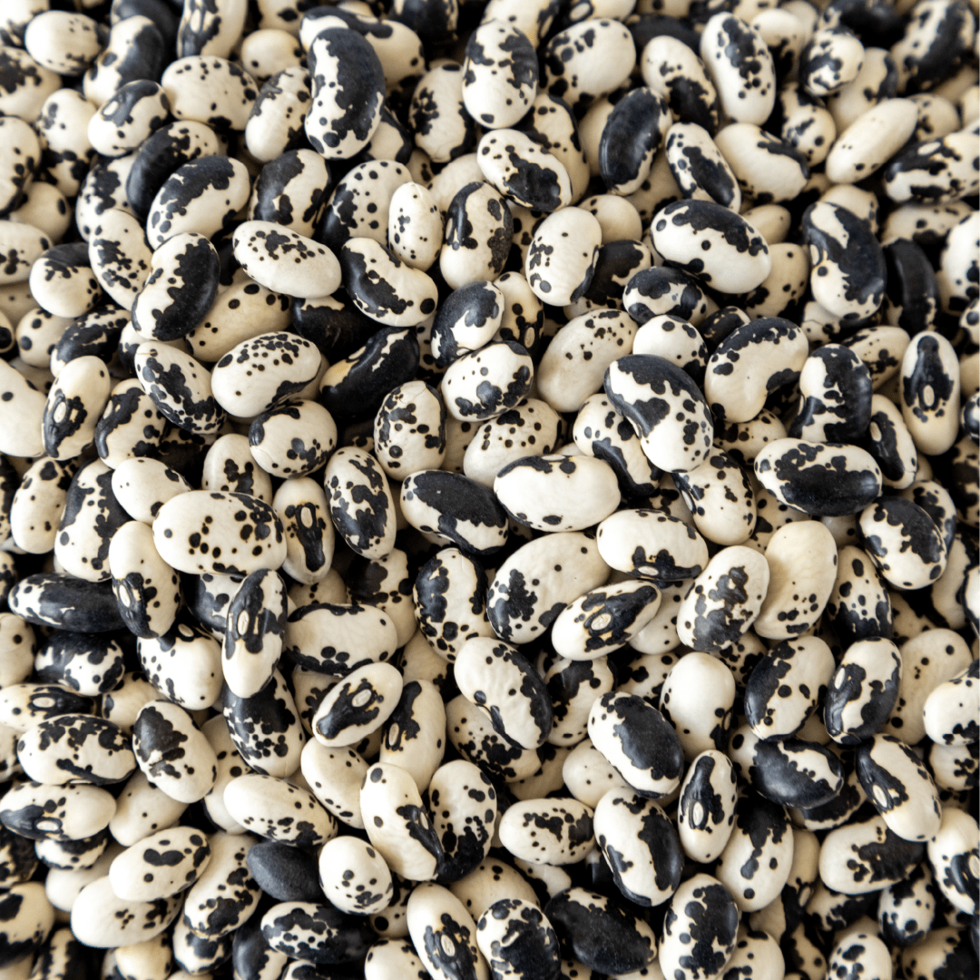 Orca Beans, 10 lb Bag - Image 3
