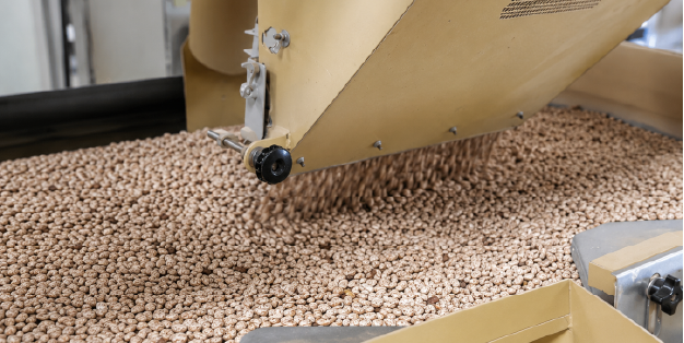Pinto Bean Cleaning